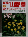 趣味の山野草　1999年10月号 Vol.231