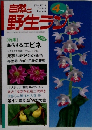 自然と野生ラン　4月号