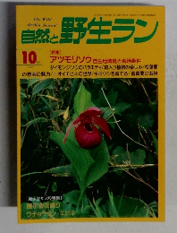 自然と野生ラン　１９９７年１０月号