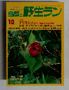 自然と野生ラン　１９９７年１０月号