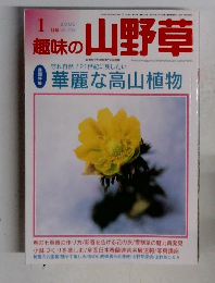 趣味の山野草　2000　1
