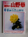 趣味の山野草　2000　1