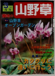 趣味の山野草　2002年3月号　