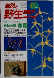 自然と野生ラン