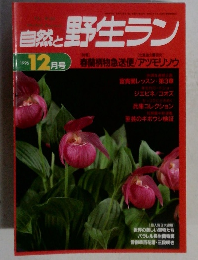 自然と野生ラン 1996年12月号