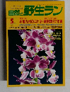 自然と野生ラン　1997　5