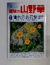 趣味の山野草2000　8