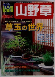 趣味の山野草　2002年10月号