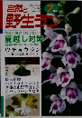 The Wild Orchid Journal 自然と野生ラン 2001年７月号