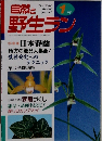 自然と野生ラン　1月号　日本春蘭