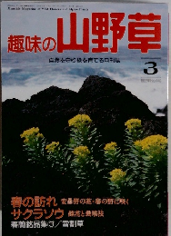 趣味の山野草　1992年3月号