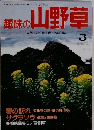 趣味の山野草　1992年3月号