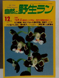 自然と野生ラン　1997年12月号