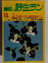 自然と野生ラン　1997年12月号