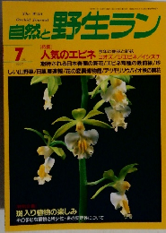 自然と野生ラン 1997年7月号
