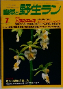 自然と野生ラン 1997年7月号