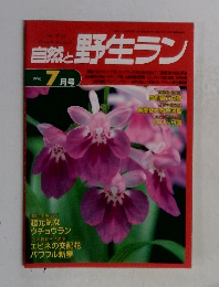 自然と野生ラン　１９９６　７
