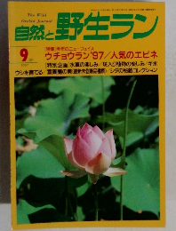 自然と野生ラン　1997.9