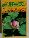 自然と野生ラン　1997.9