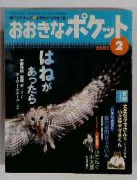 おおきなポケット 2001 2