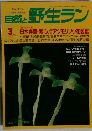 自然と野生ラン 1997 3
