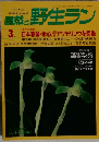 自然と野生ラン 1997 3