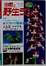 自然と野生ラン　2001.6