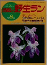 自然と野生ラン 1992 8