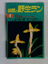 自然と野生ラン　1998年1月号　