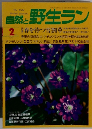 自然と野生ラン 2 1997
