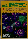自然と野生ラン 2 1997

