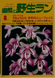 自然と野生ラン 1997年8月号
