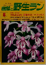 自然と野生ラン 1997年8月号