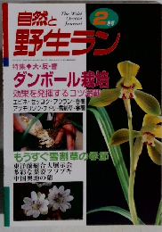 自然と野生ラン　2月号　特集　大・反・響　ダンボール栽培