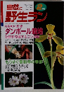 自然と野生ラン　2月号　特集　大・反・響　ダンボール栽培