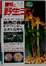 自然と野生ラン　2月号　納得の株選び