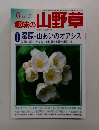 趣味の山野草　2000年6月1日　Vol.239