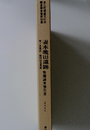 妻木晩田遺跡　発掘調査報告書　2000
