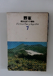野草　Picture Encyclopedia  7