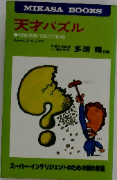 天才パズル