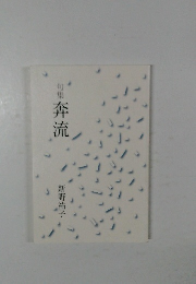 句集　奔流