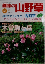 趣味の山野草　1999年2月号