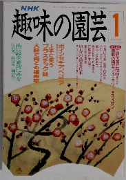 NHk趣味の園芸 1