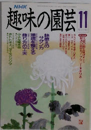 NHK趣味の園芸 11