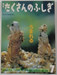 たくさんのふしぎ　7月号