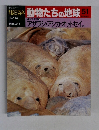週刊朝日百科 動物たちの地球 51