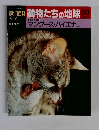 朝日百科動物たちの地球 50