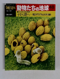 動物たちの地球 48