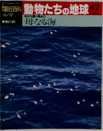 朝日百科動物たちの地球 47　母なる海