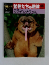 週刊朝日百科 動物たちの地球 46